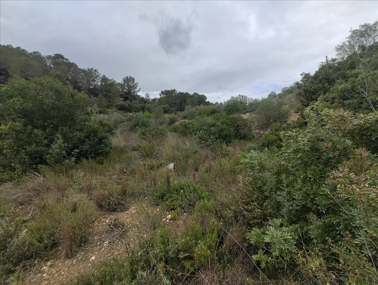 Terreny rústic en venda a Cantalars, Pol.9, Parc. 123(A,B,C Y D) Y Parcela 233. Barranco De Montell, imagen 18