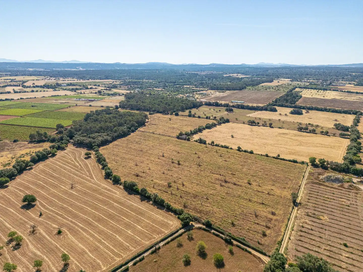 Rural land for sale in Sencelles, imagen 9