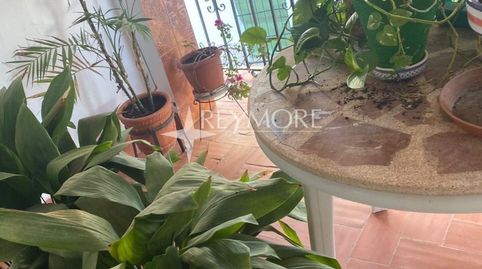 Foto 5 de Casa o chalet en venta en Guadalcázar, Córdoba