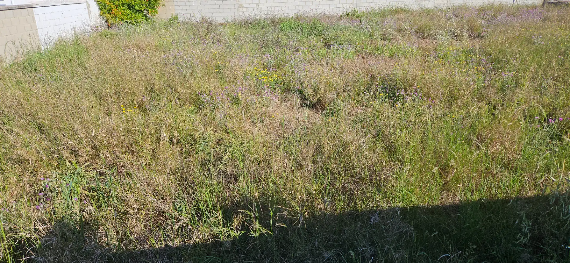 Terrenys i solars en venda a Pelagatos - Pago del Humo, imagen 6