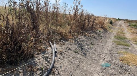 Foto 4 de Terreny en venda a Las Palmeras - Dehesilla, Sanlúcar de Barrameda