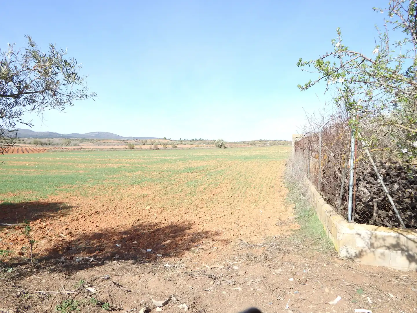 Houses for sale in N/A, Requena