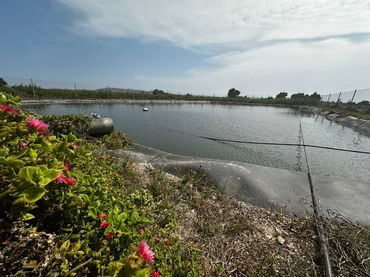 Rustikales Grundstück zum Verkauf in Partida Fogaria 19