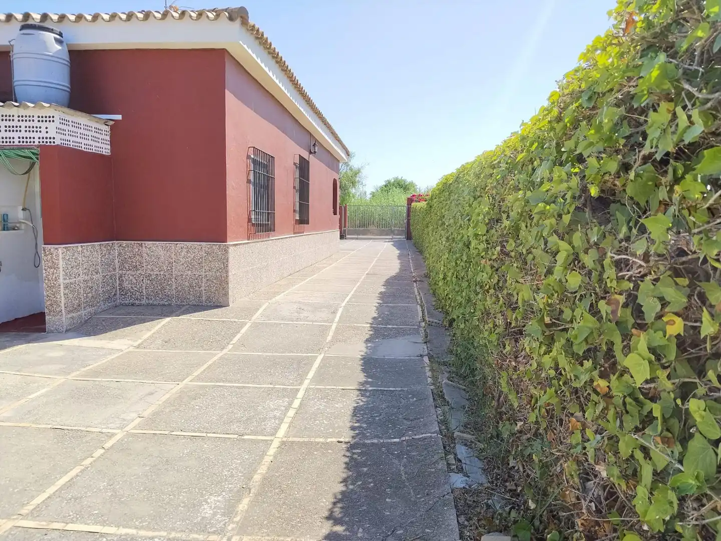 Vista exterior de Finca rústica en venda en Chipiona amb Aire condicionat, Jardí privat i Terrassa