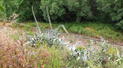 Photo 4 of Country house for sale in El Álamo - Arbejales, Las Palmas