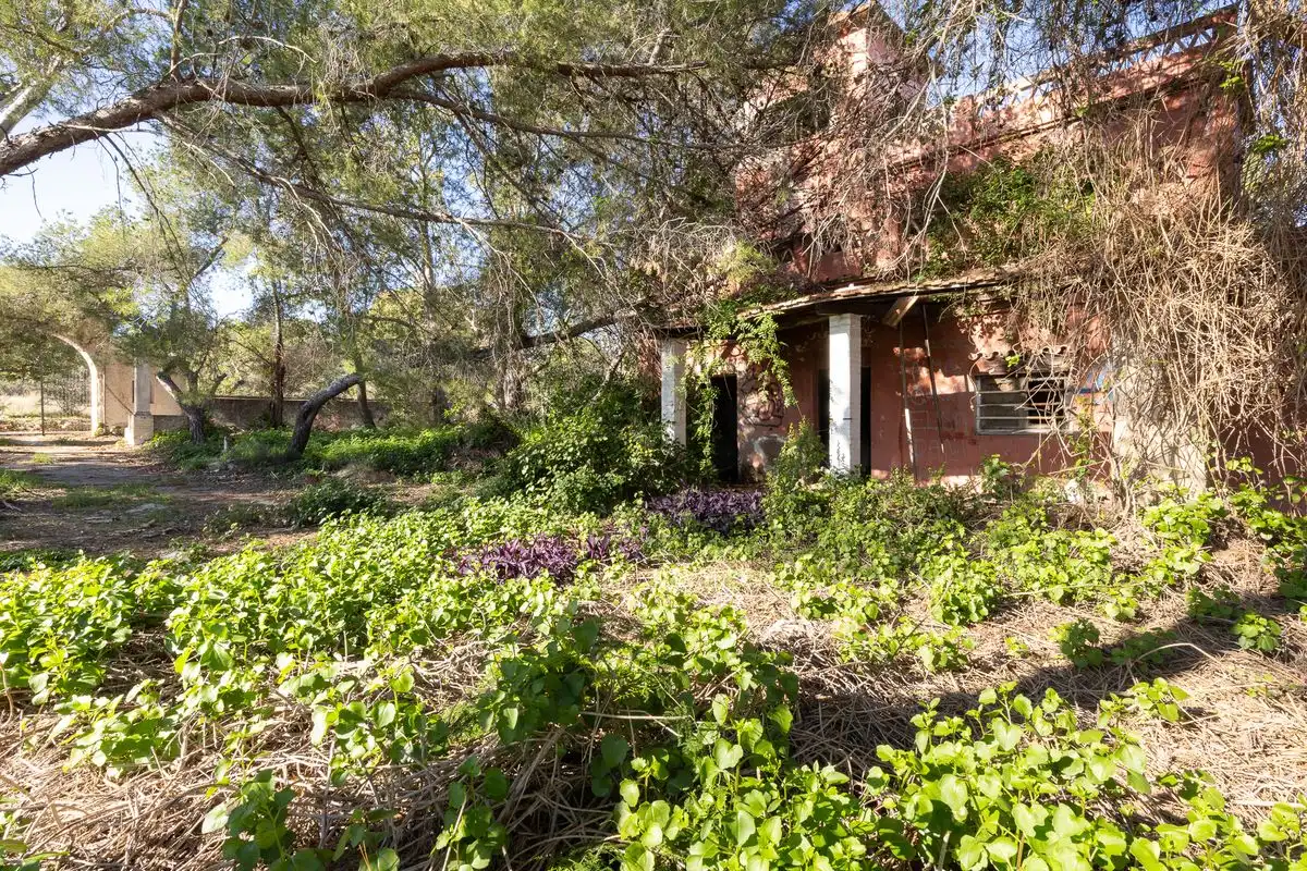 Terreno residenziale in vendita a Cami Ermita Nova, imagen 4