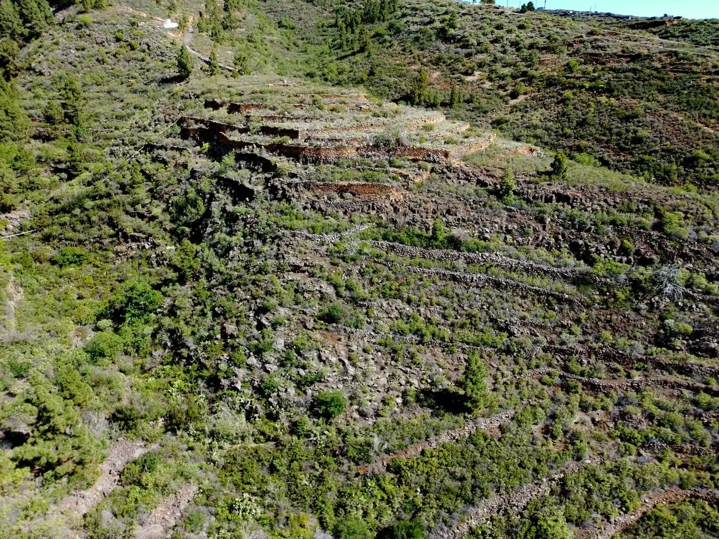 Rural land for sale in El Escobonal - Pájara, imagen 7