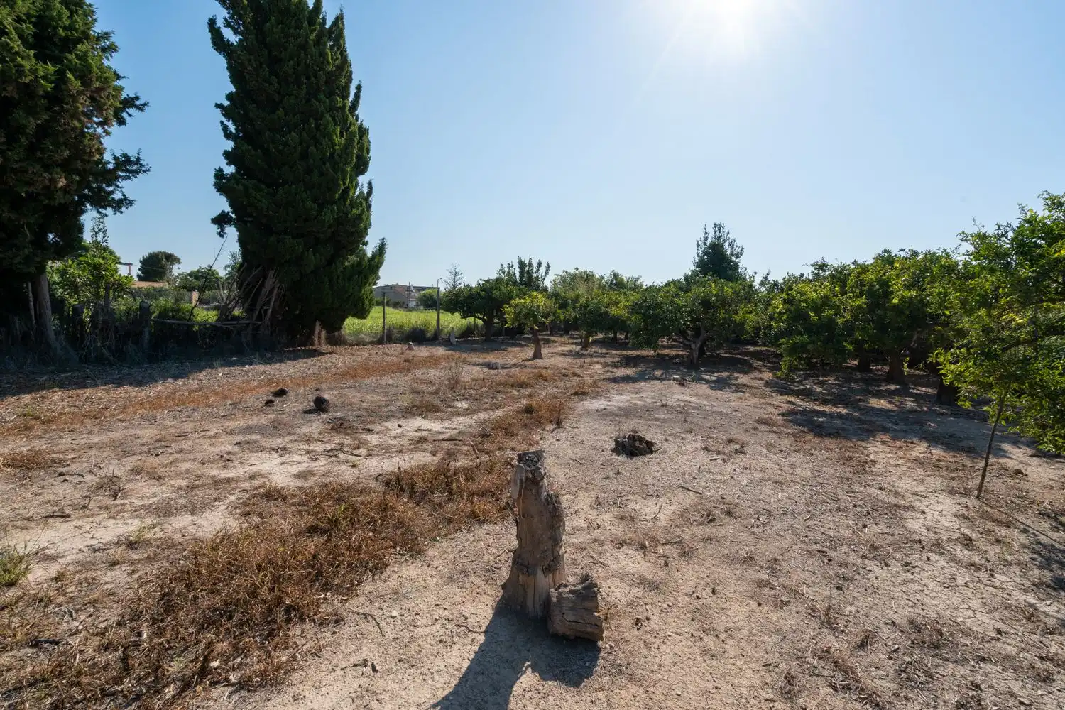 Rural land for sale in Deltebre, imagen 8