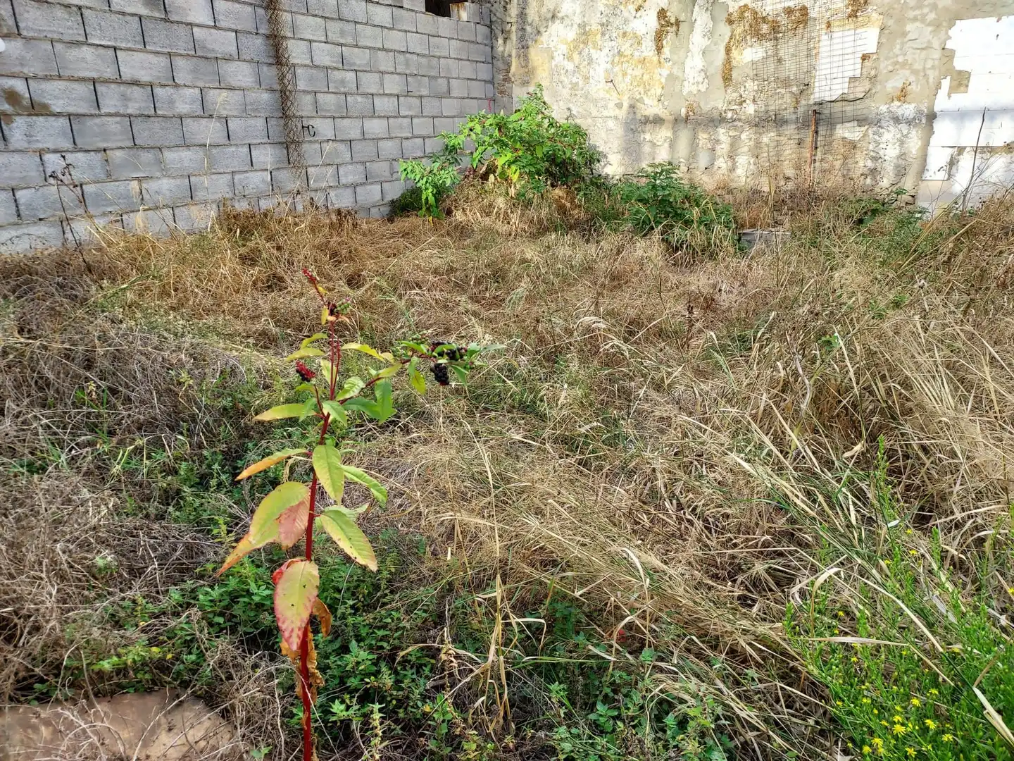 Terreni e lotti in vendita a Casco Antiguo
