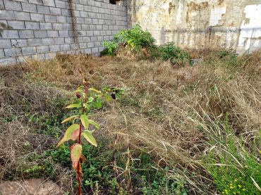 Terreno residencial en venta en Casco Antiguo