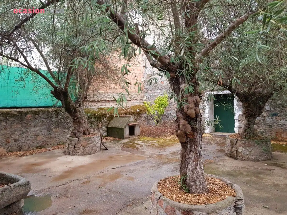 Jardín de Casa o chalet en venta en Pedroche con Calefacción, Jardín privado y Trastero
