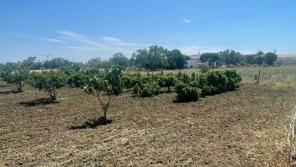 Rustikales Grundstück zum Verkauf in Las Lagunas - Campano, imagen 5