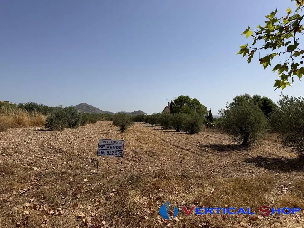 Terreno residencial en venta en Caudete, imagen 2
