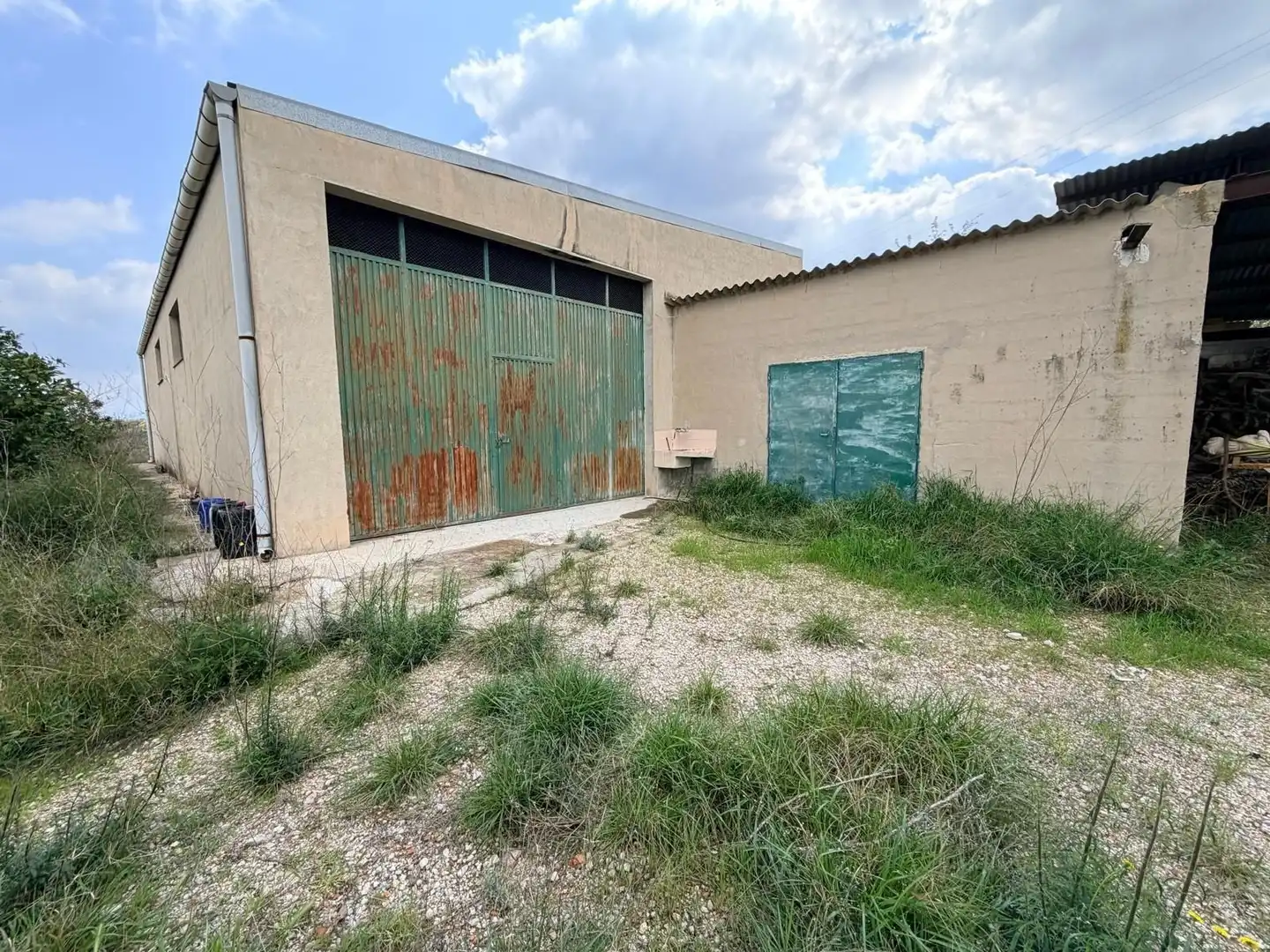 Terreny rústic en venda a Albaida