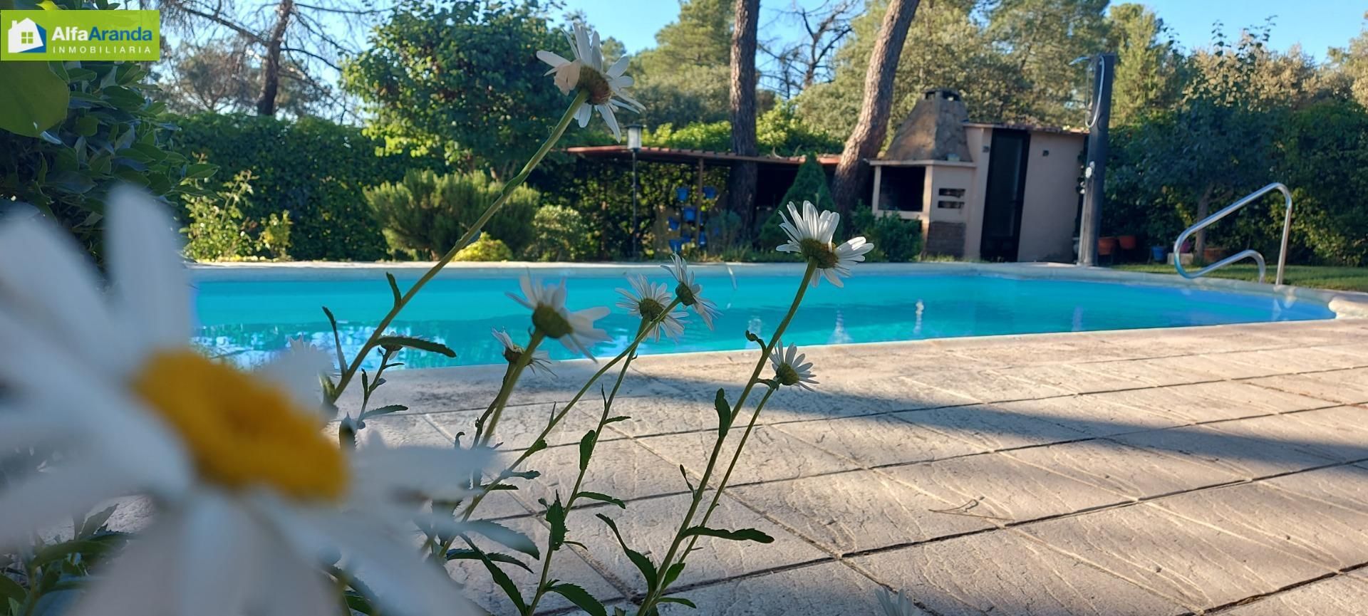 Swimming pool of House or chalet for sale in Aranda de Duero  with Heating, Private garden and Terrace