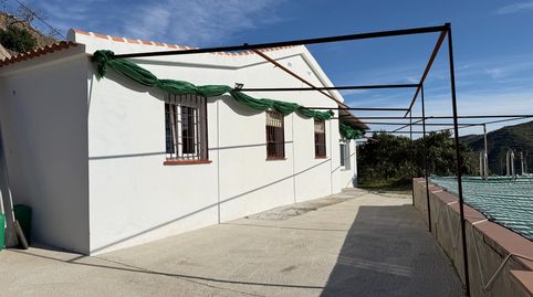 Foto 5 de Finca rústica en venta en Almáchar, Málaga