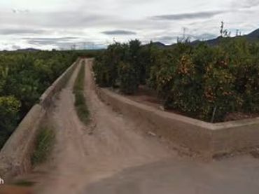 Terrain rustique à vendre à Nules