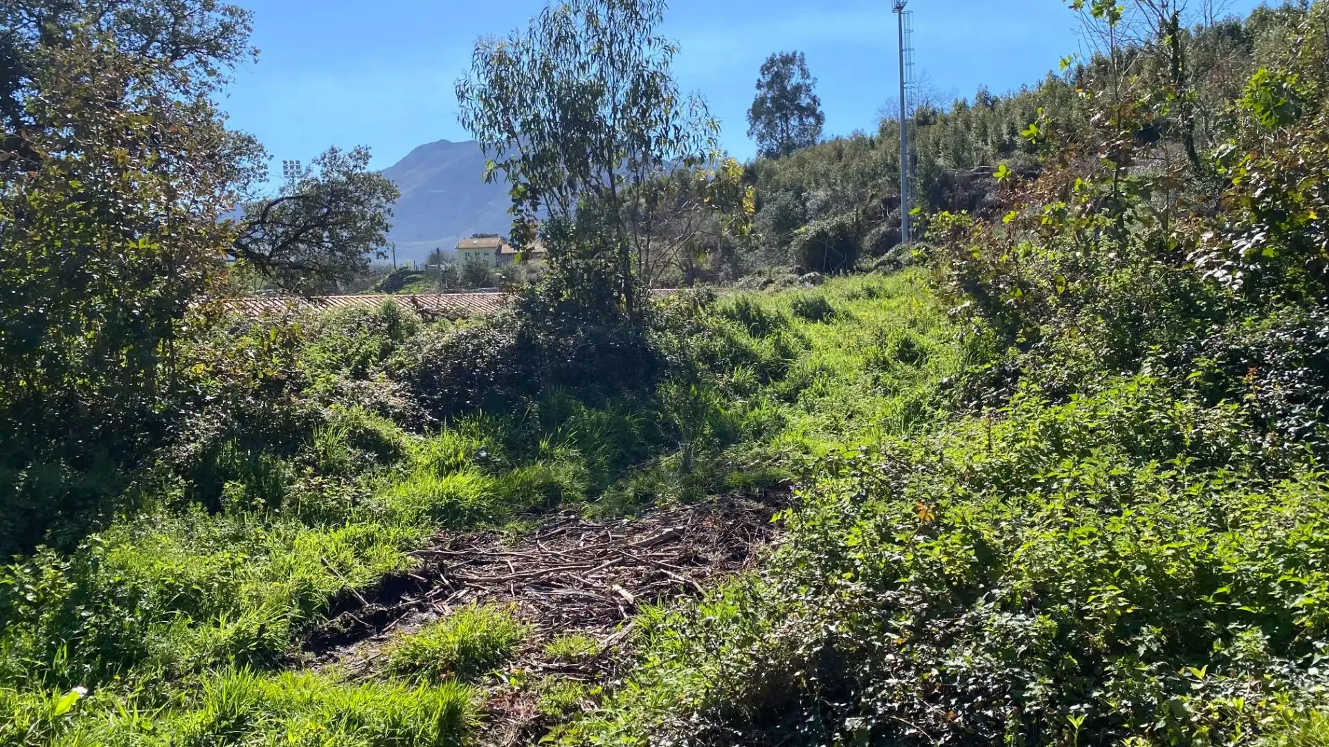 Rustikales Grundstück zum Verkauf in Ribadesella, imagen 15
