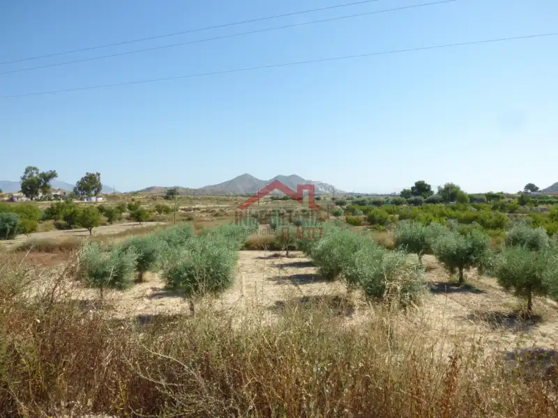 Terreno en venta en Alicante / Alacant
