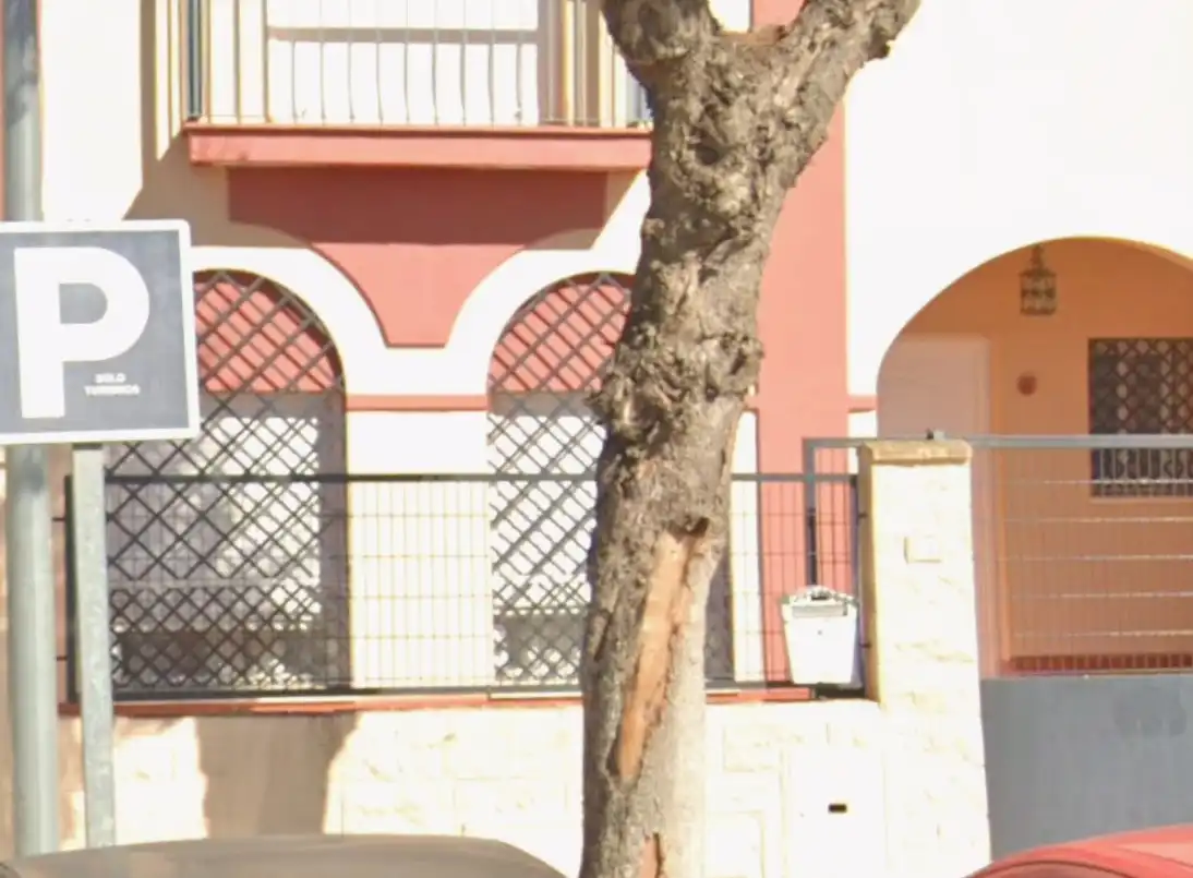 Garden of Houses for sale in Benacazón