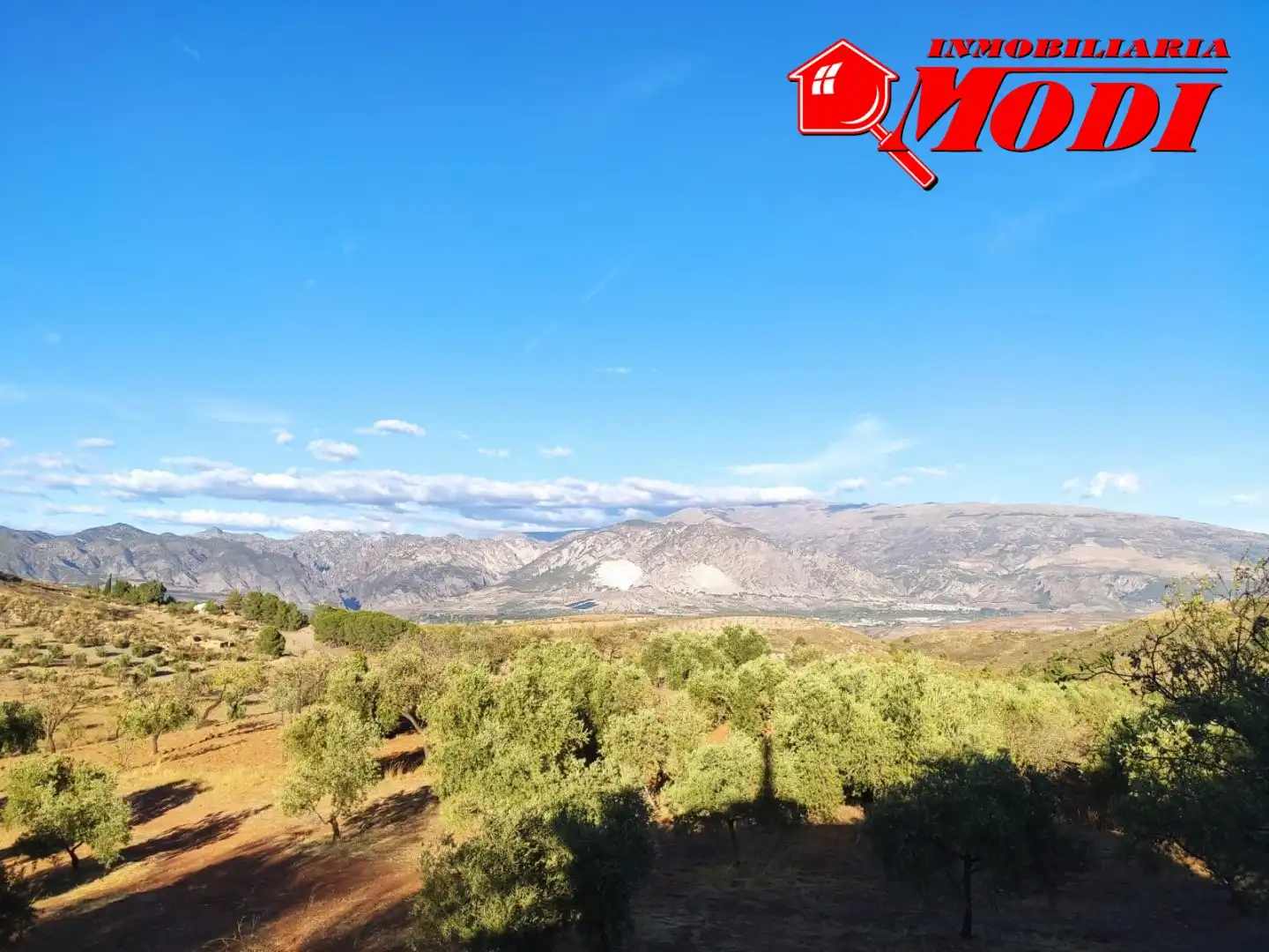 Finca rústica en venda en Villamena amb Jardí privat