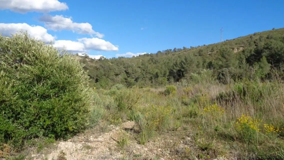 Terreno rustico in vendita a PESOLS, imagen 16