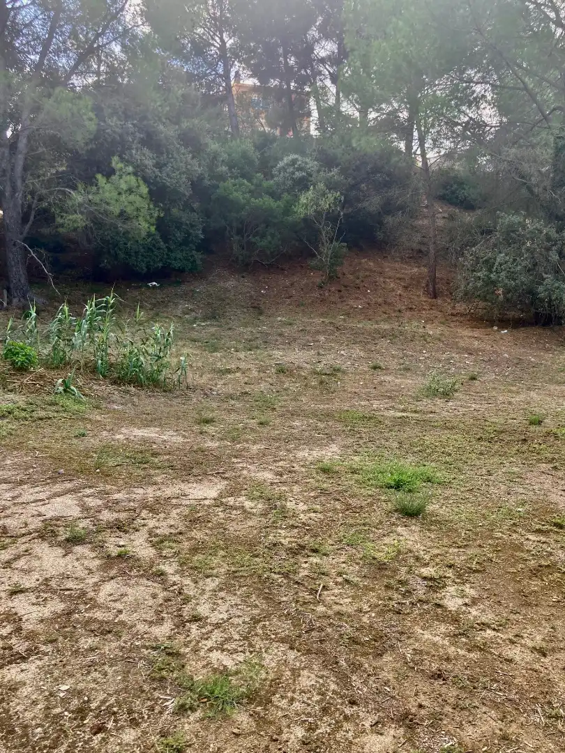Terreny residencial en venda a Avinguda del Roser, imagen 3