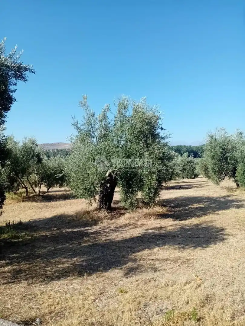 Rustikales Grundstück zum Verkauf in Úbeda, imagen 4
