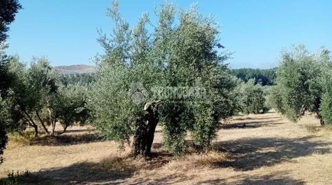 Terrenos en venta en Úbeda, immagine 4
