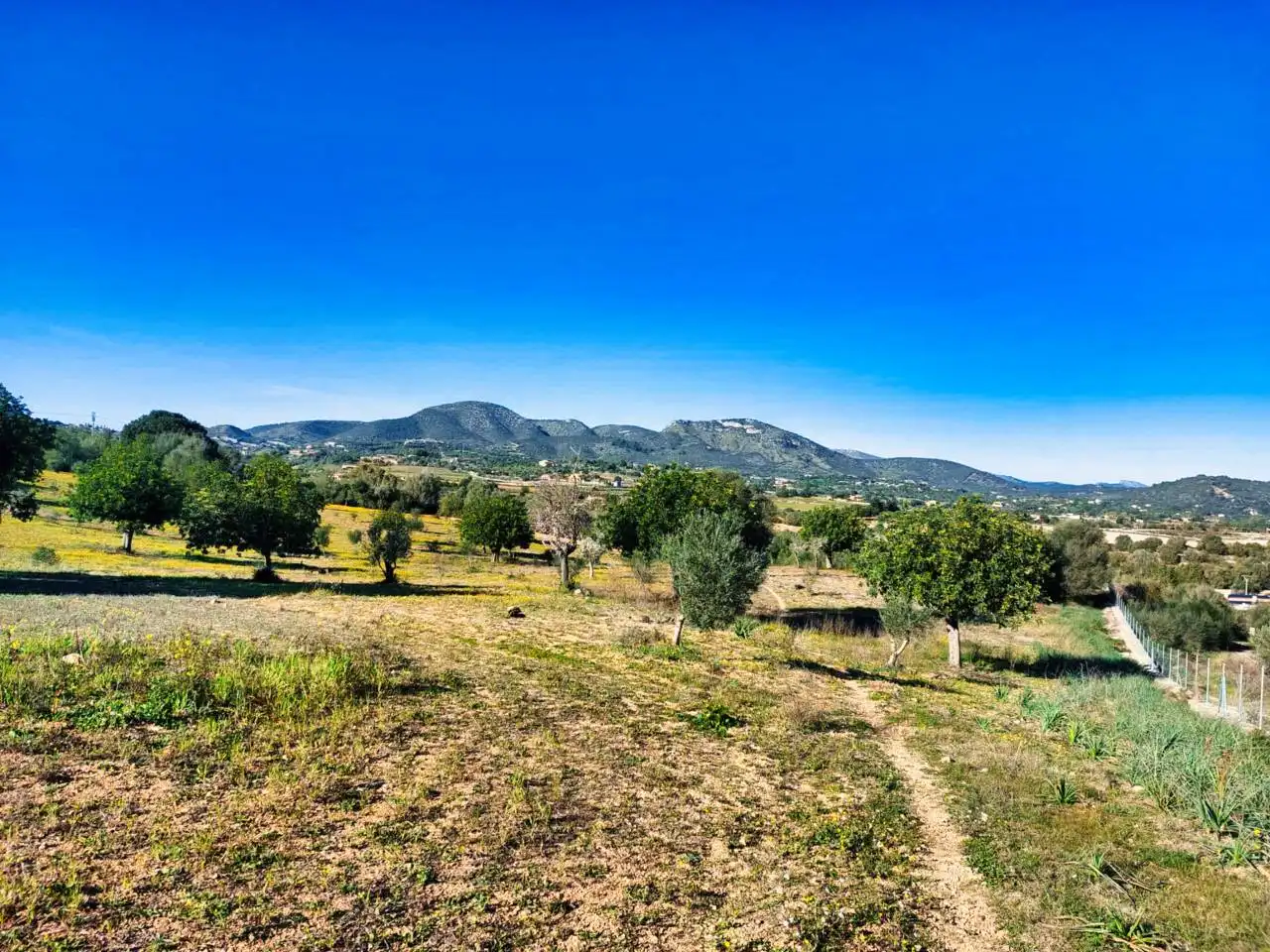 Rural land for sale in Poligono 5 723, imagen 2