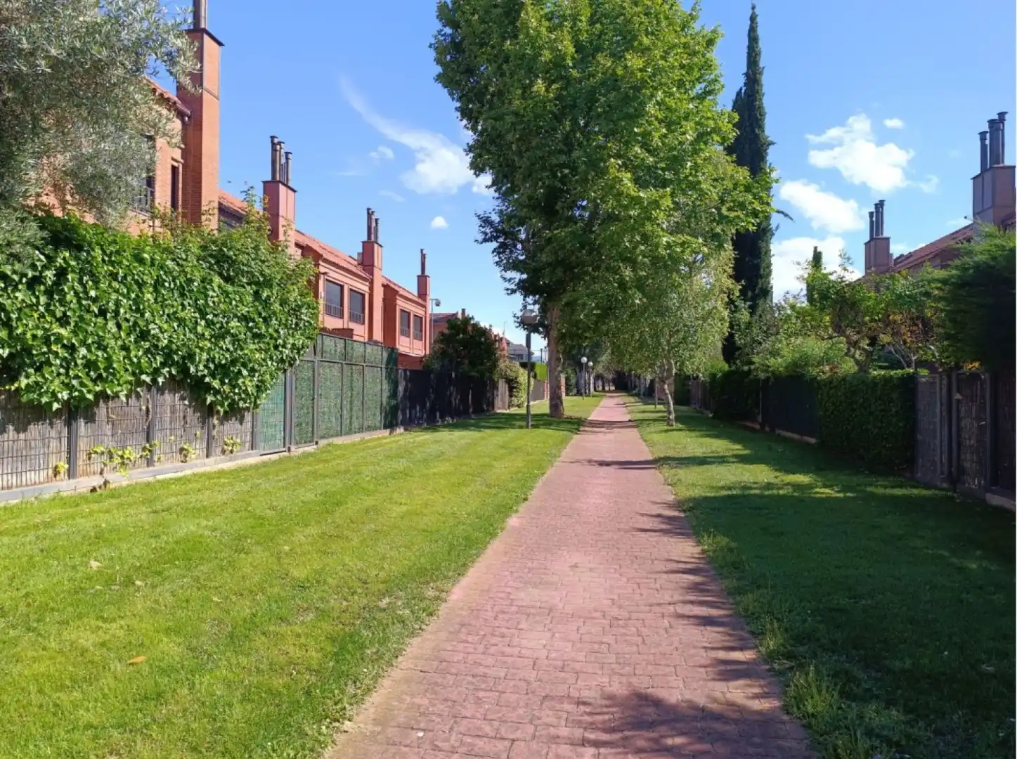 Haus mit Pool zum Verkauf in Avda. Madrid, imagen 50