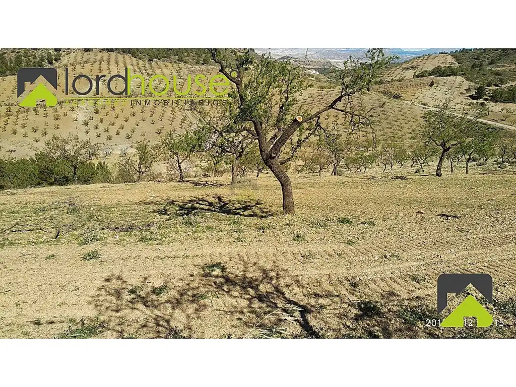 Finca rústica en venta en Lorca