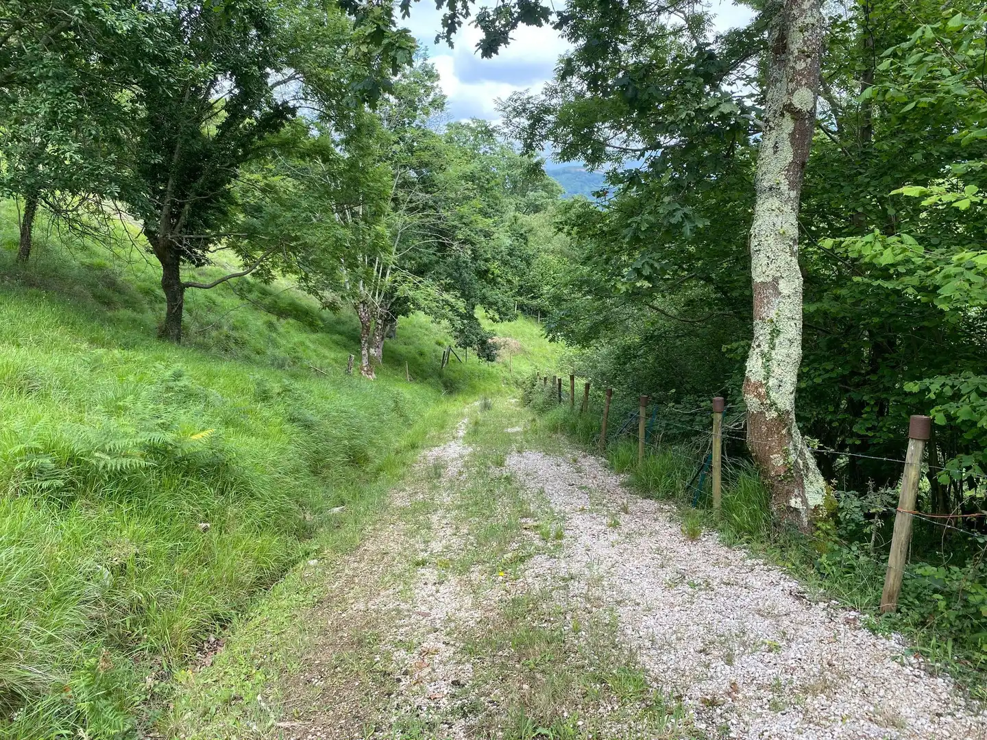 Land for sale in La Molina, Cabrales