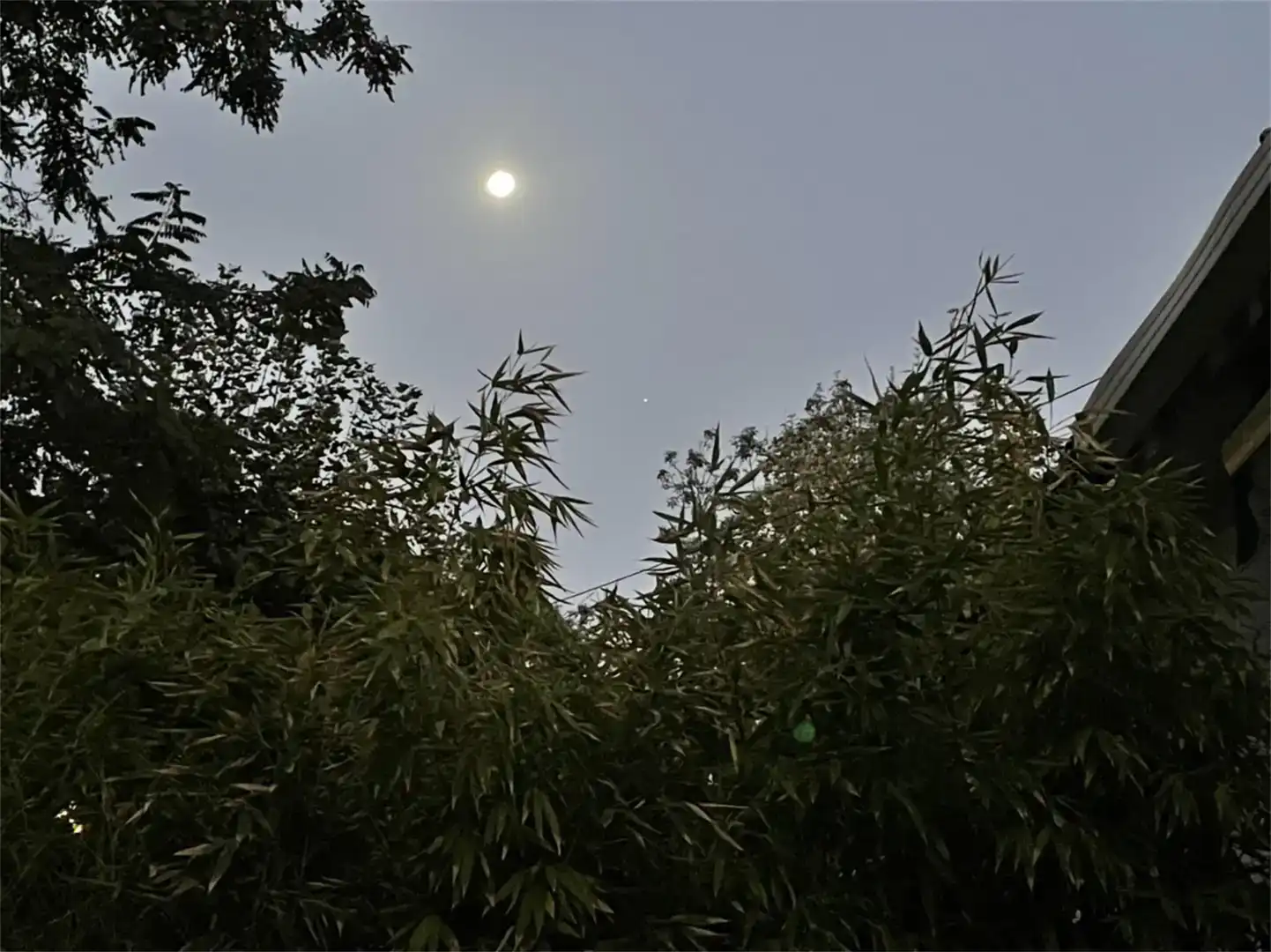 Jardí de Pis en venda en Ayerbe amb Piscina