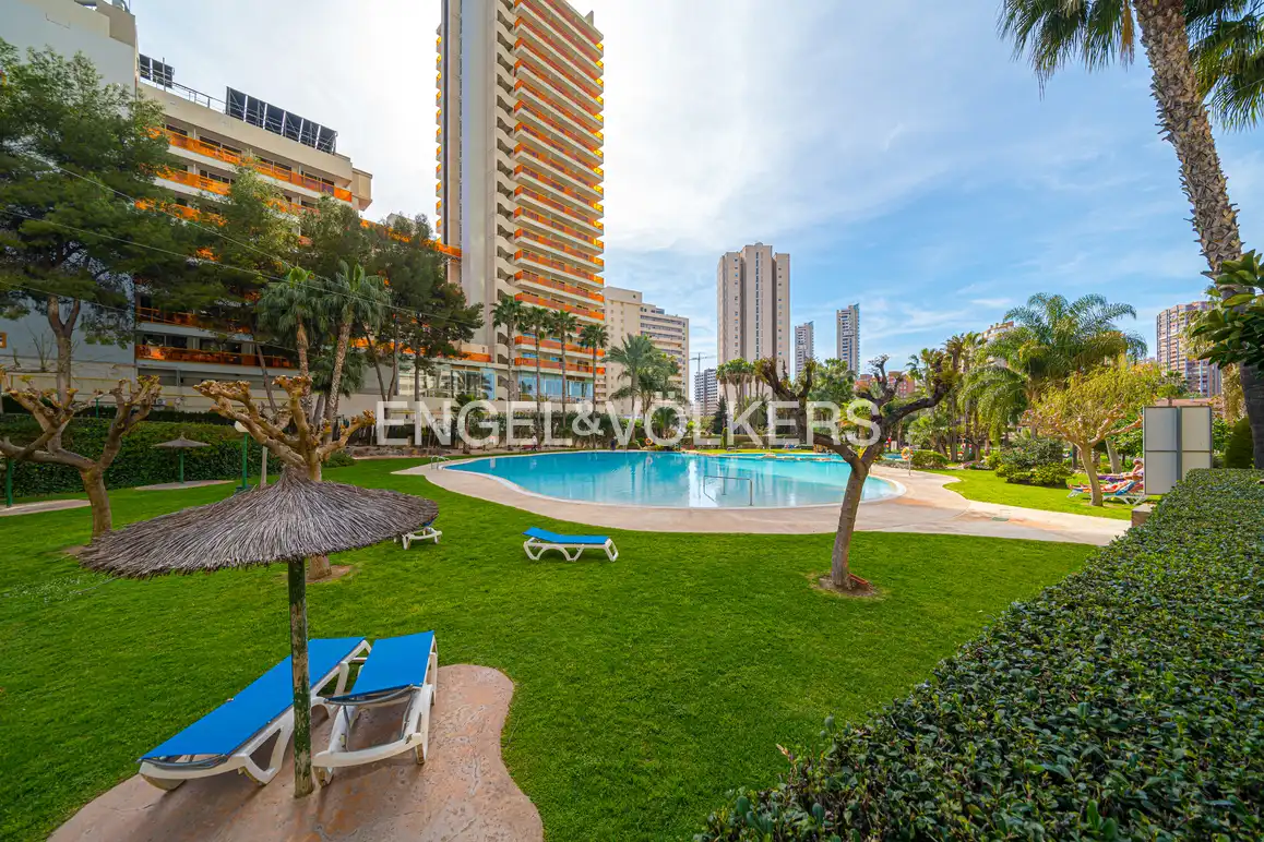Vista exterior de Àtic en venda en Benidorm amb Aire condicionat, Jardí privat i Piscina comunitària