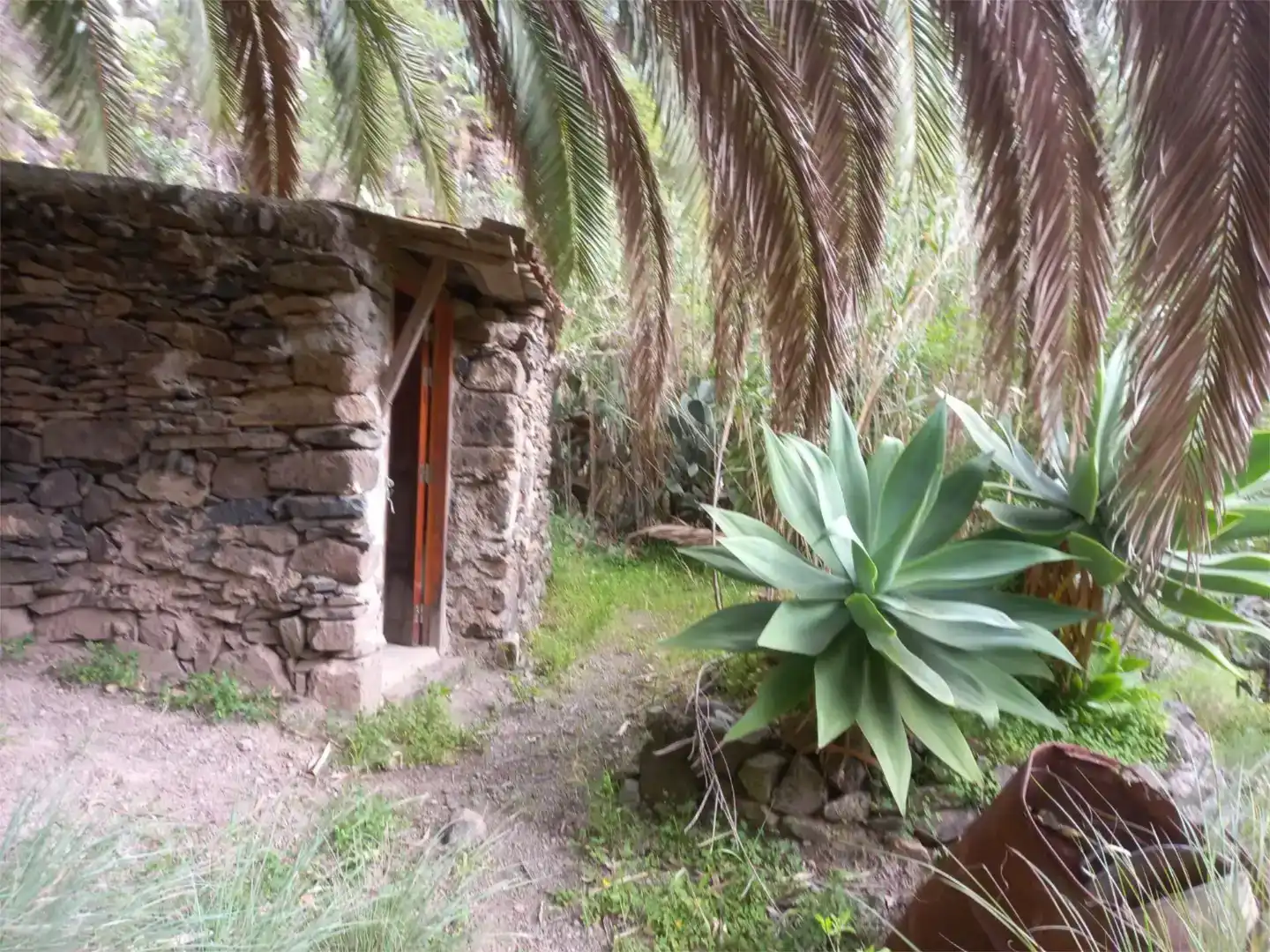 Jardí de Finca rústica en venda en Firgas
