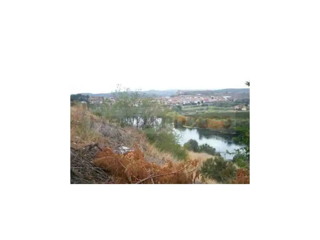 Wohnbaugrundstück zum Verkauf in Carretera d'Ascó, imagen 17