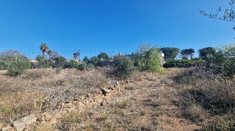 TERRENO EN VENTA ZONA MADRIGAL VILA-REAL, imatge 5