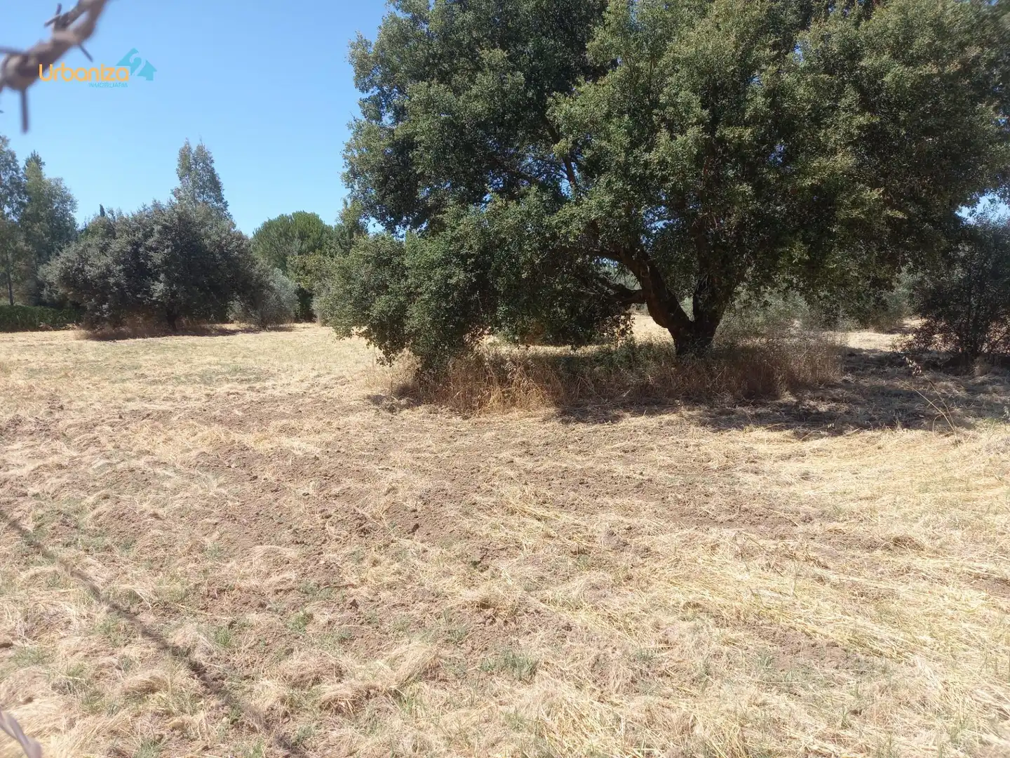 Terreni e lotti in vendita a Dehesilla de Calamón - Campomanes, imagen 5