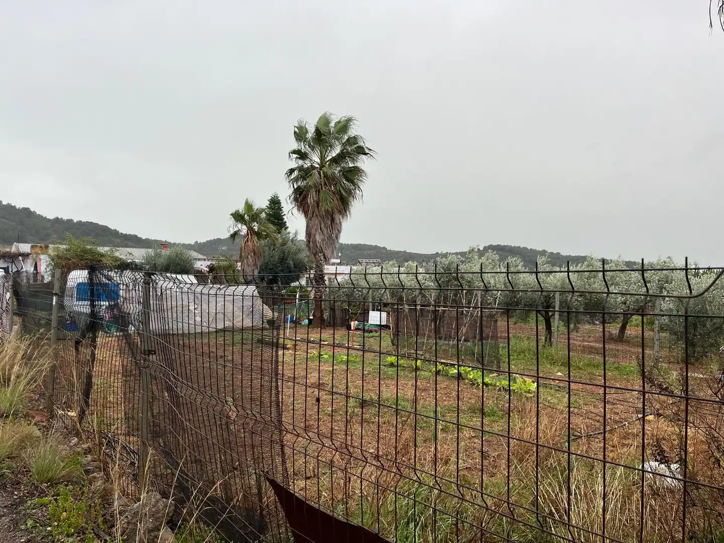 Residential land for sale in Alcalà de Xivert pueblo, imagen 8
