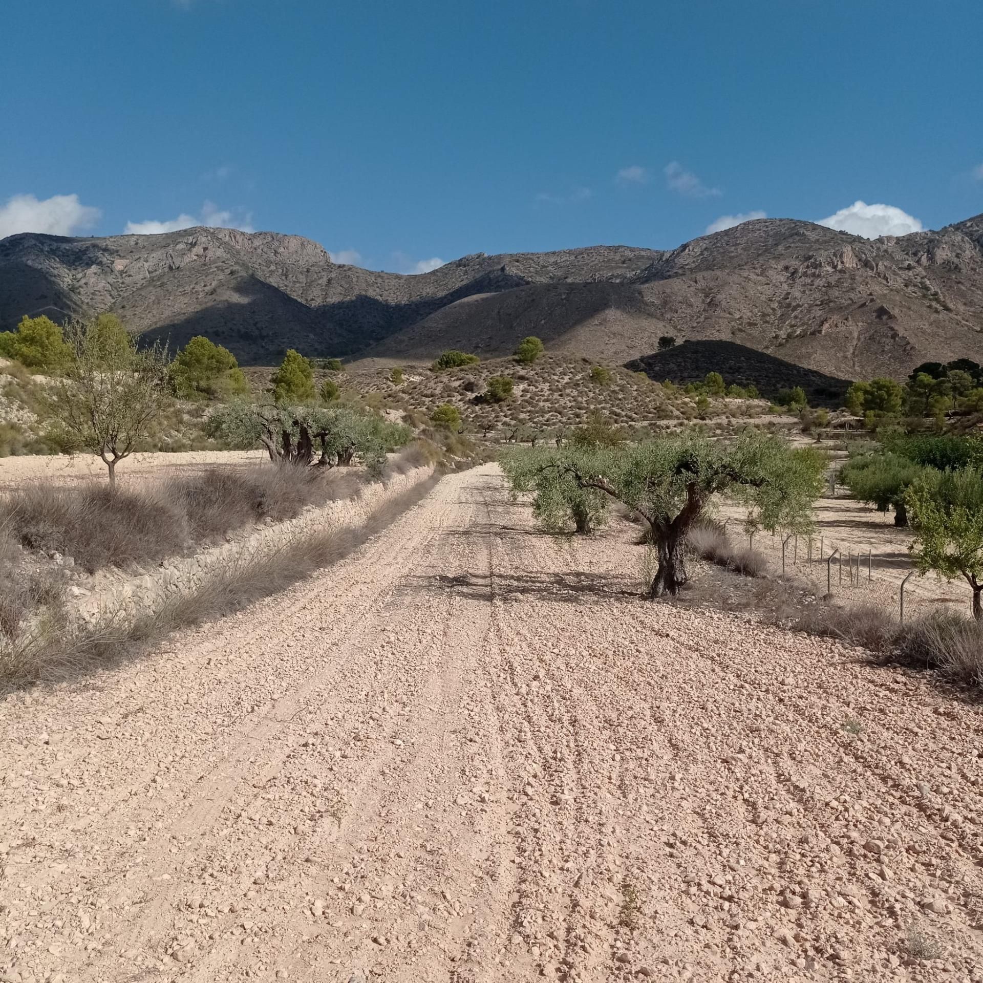 Außenansicht von Grundstücke zum verkauf in Hondón de las Nieves / El Fondó de les Neus