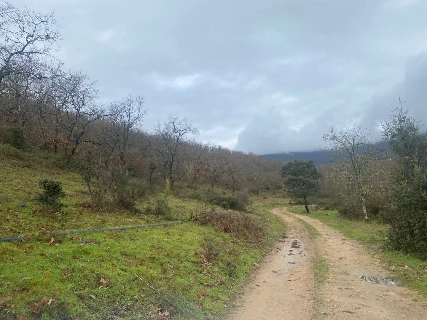 Terreni e lotti in vendita a Candeleda, imagen 15