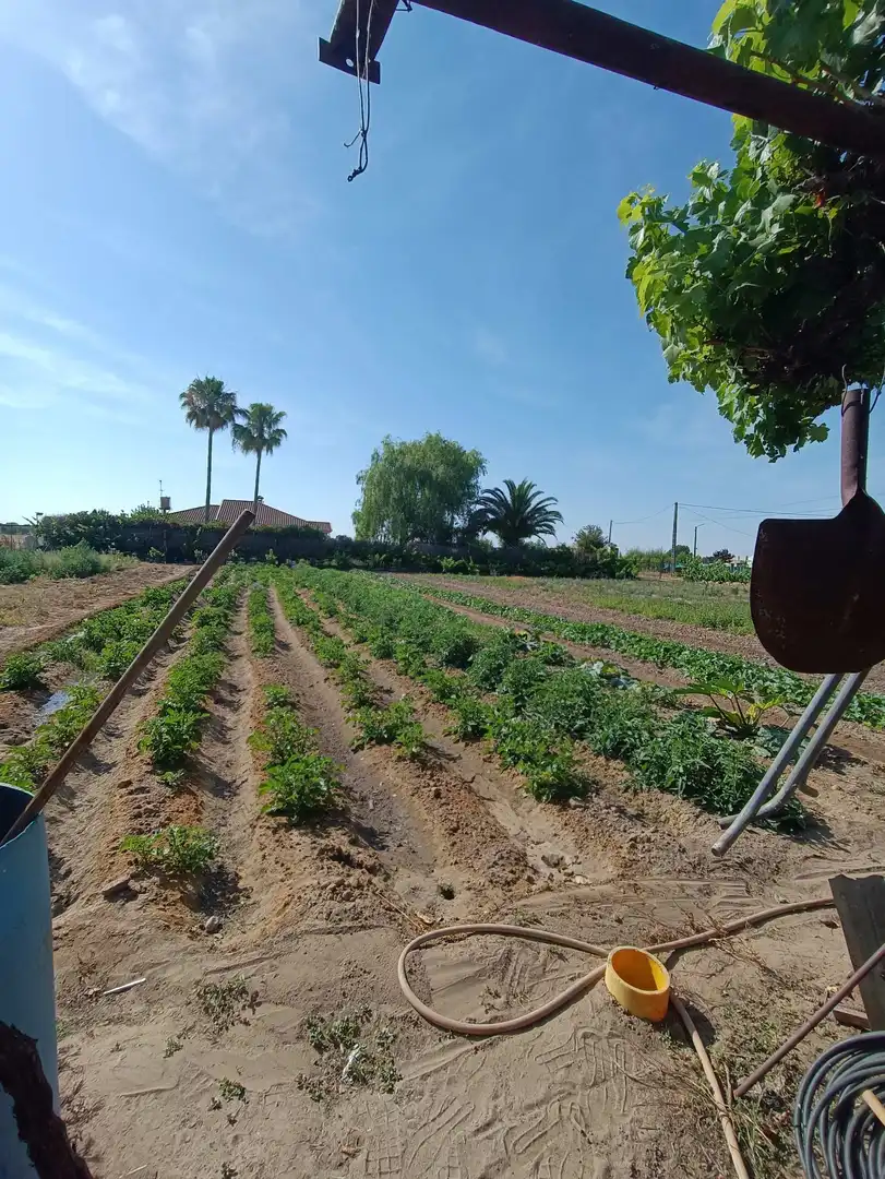 Xalet amb jardí en venda a Don Benito, imagen 13