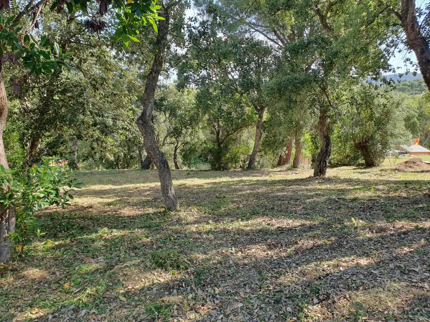 Terreny residencial en venda a Santa Cristina