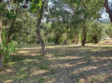 Terreno residenziale in vendita a Santa Cristina