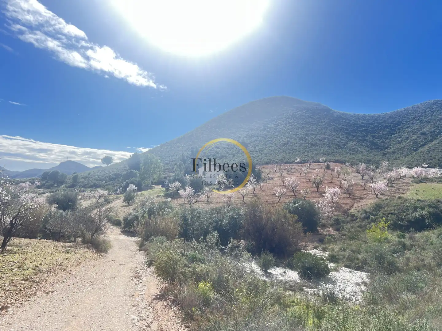 Finca rústica en venta en Morata