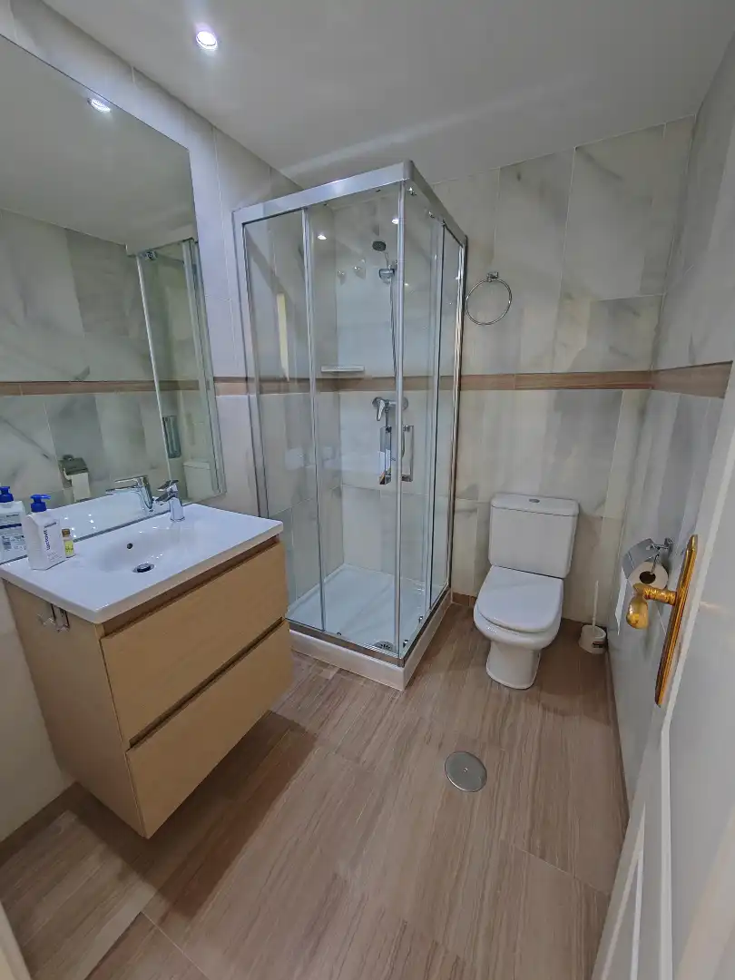 Wohnung mit Pool zur Miete in Calle Velázquez 30, imagen 15