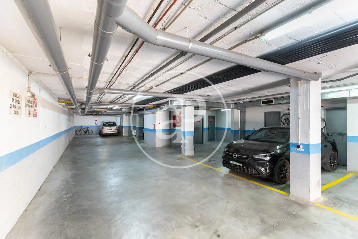Piso de alquiler en Carrer Escriptor Joan Cortada, Son Dameto