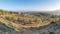 Casa o xalet en venda en Riudecols amb Terrassa i Traster