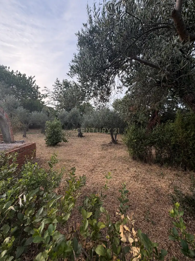 Casa o xalet en venda en Trujillo amb Aire condicionat, Jardí privat i Traster